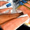 cocotto、huon、ココット、ヒューオン、タスマニアサーモン、窓